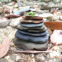 Made a rock pile near the creek
